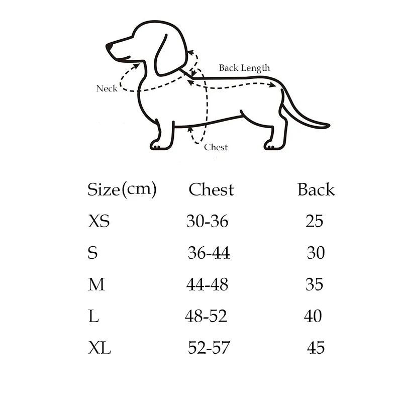 Knitted Sweater for Dachshunds โ Cozy Bohemian Dog Sweater
