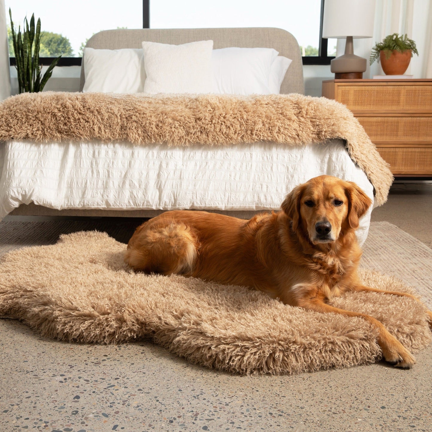 PupRugTM Luxe Faux Fur Orthopedic Dog Bed - Plush Sheep Tan