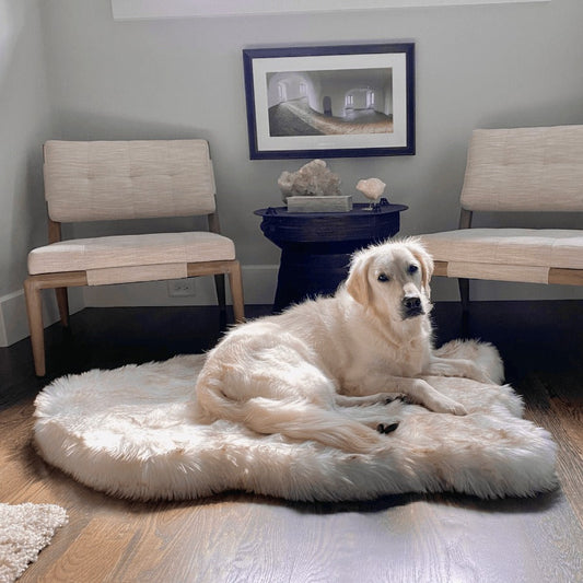 PupRugTM Faux Fur Orthopedic Dog Bed - Curve White with Brown Accents