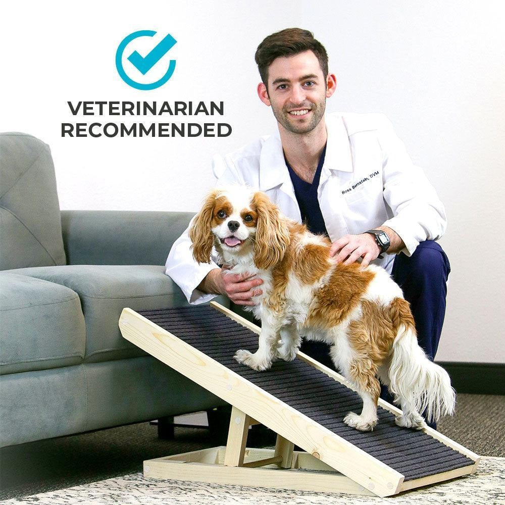 DachRampTM - The #1 Vet-Recommended Way to Protect Your Dachshund's Back & Joints