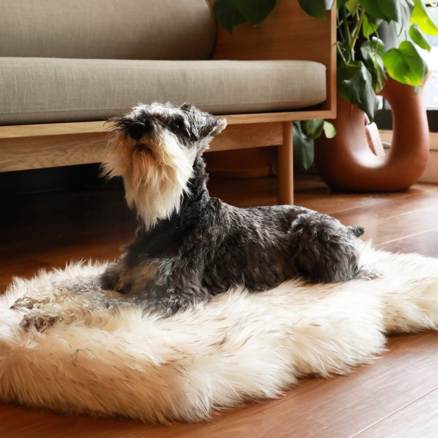 PupRugTM Faux Fur Orthopedic Dog Bed - Curve White with Brown Accents