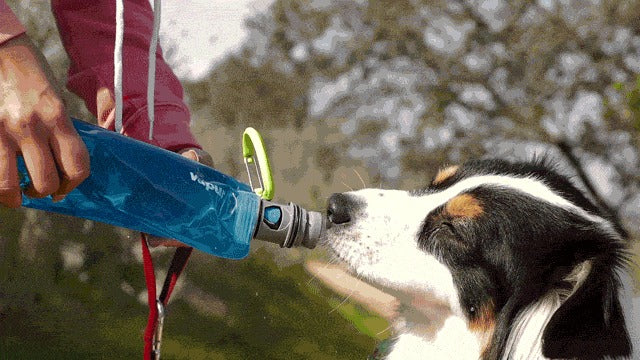Vapur® EZ LickTM Portable Dog Water Bottle