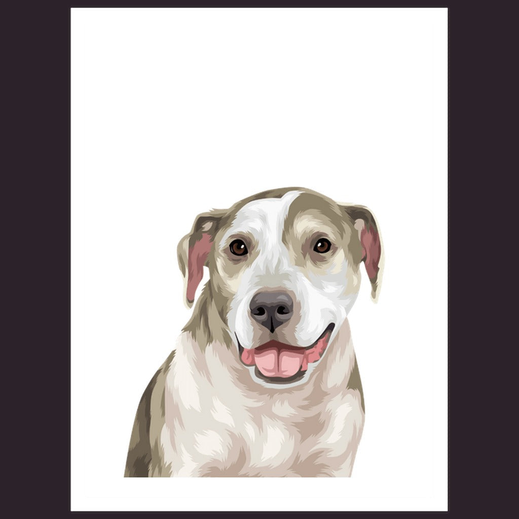 Custom Pet Stickers