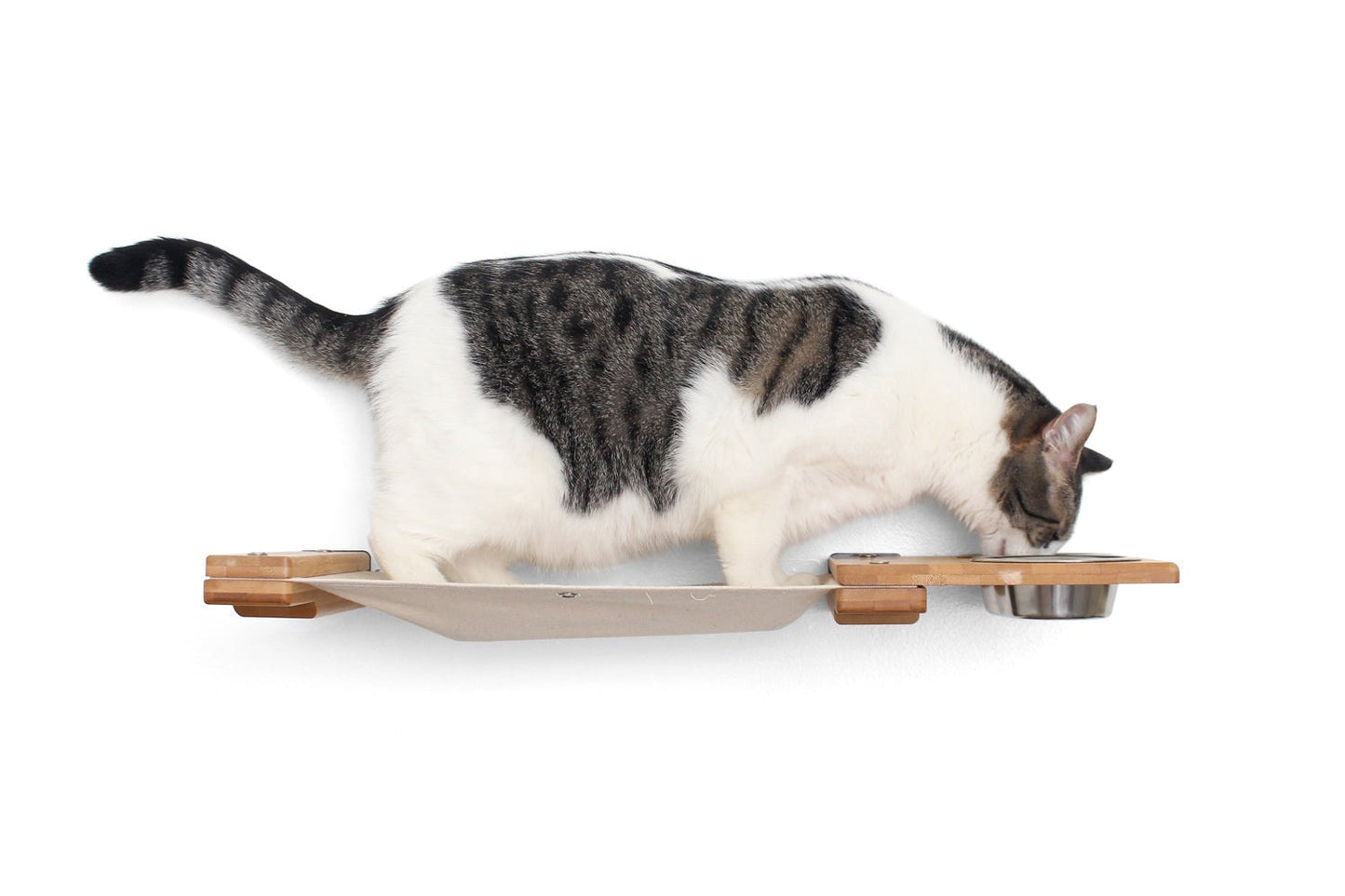 Dog Proof Cat Feeder - Wall-Mounted - Raised