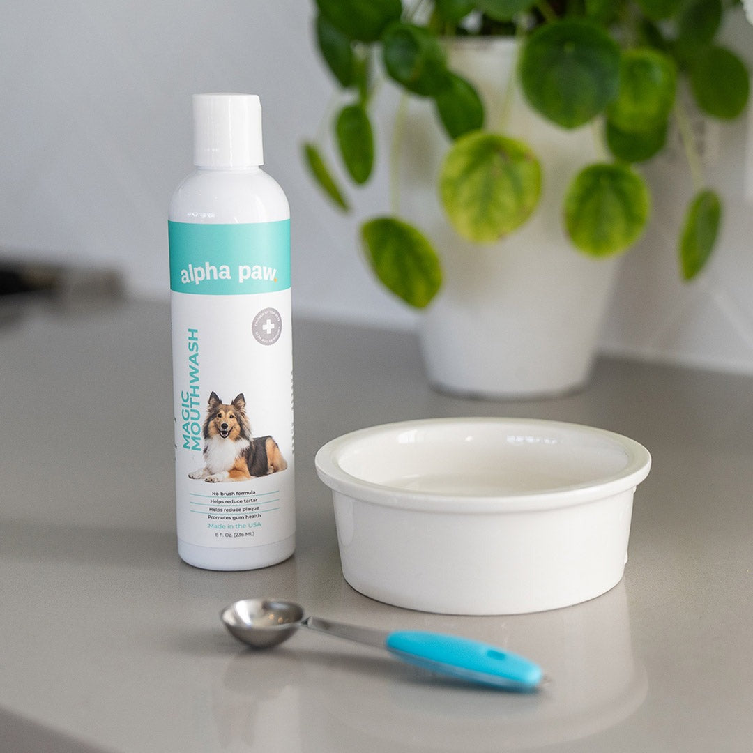 Magic MouthwashTM For Dogs