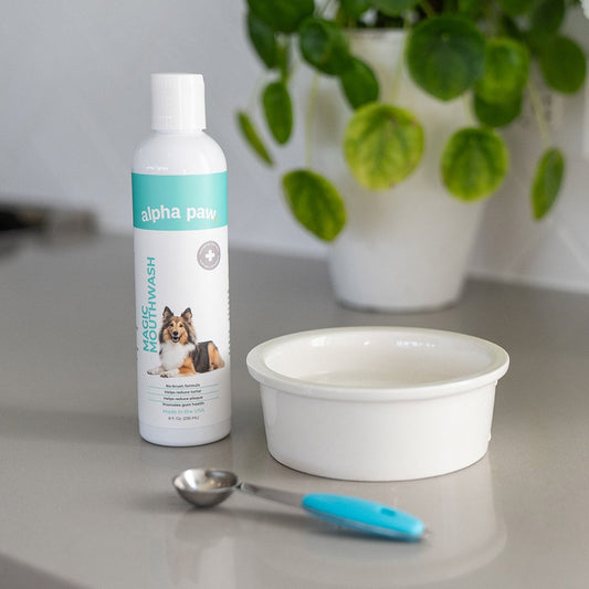 Magic MouthwashTM For Dogs