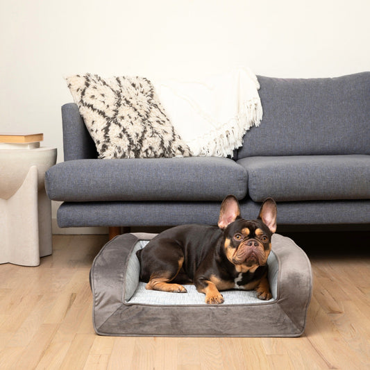 PupChillTM Cooling Dog Bed - Cooling-Gel Comfort for Deep Summer Rest