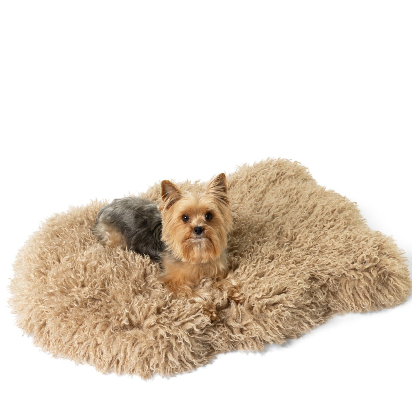 PupRugTM Luxe Faux Fur Orthopedic Dog Bed - Plush Sheep Tan