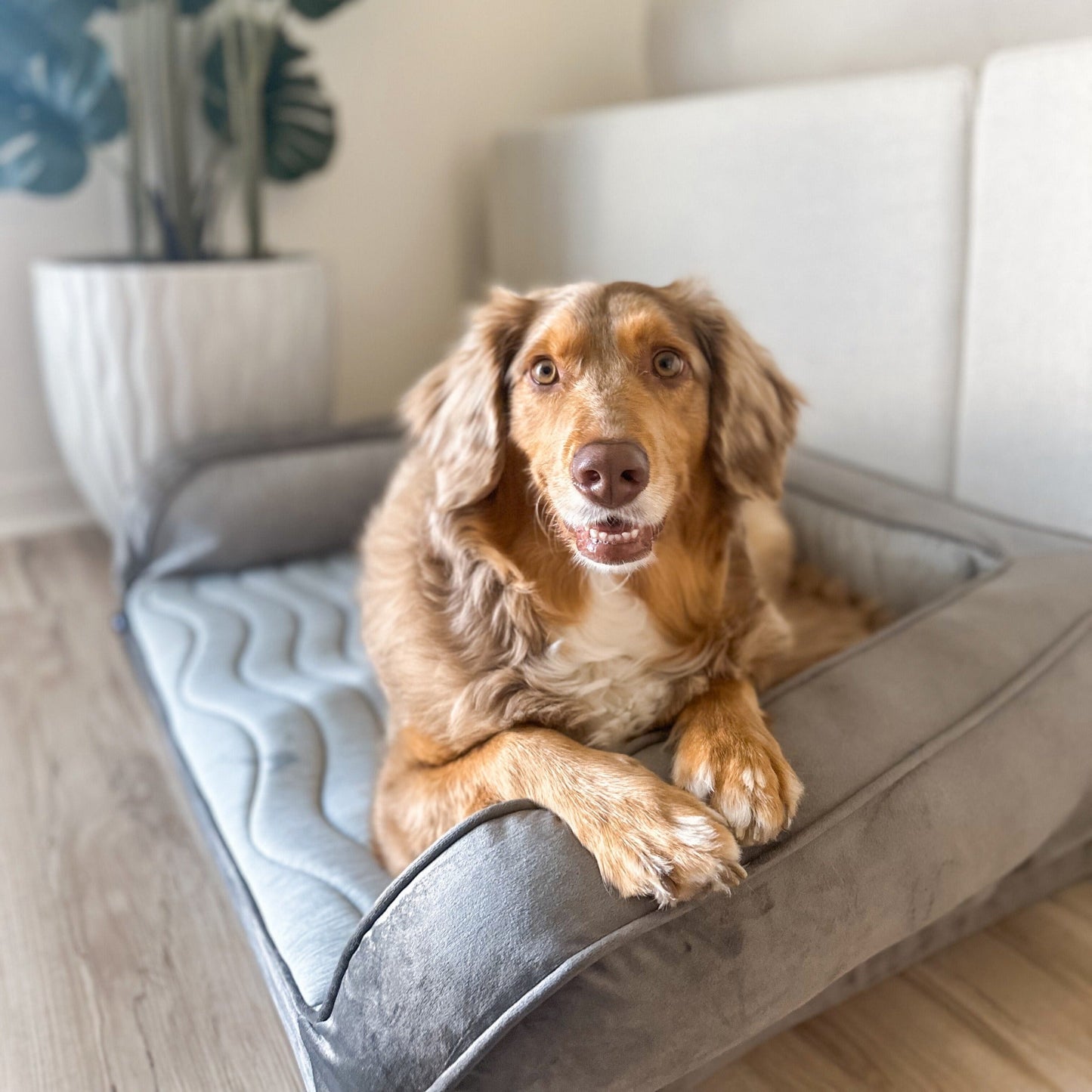 PupChillTM Cooling Dog Bed - Cooling-Gel Comfort for Deep Summer Rest