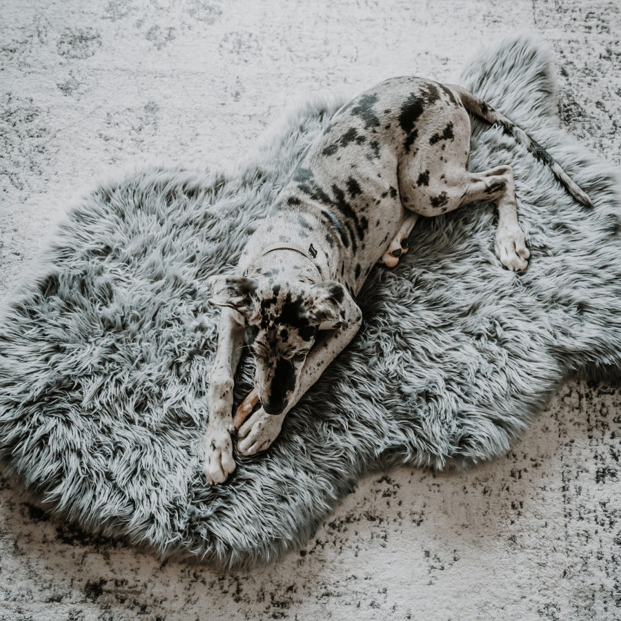 PupRugTM Faux Fur Orthopedic Dog Bed - Curve Charcoal Grey
