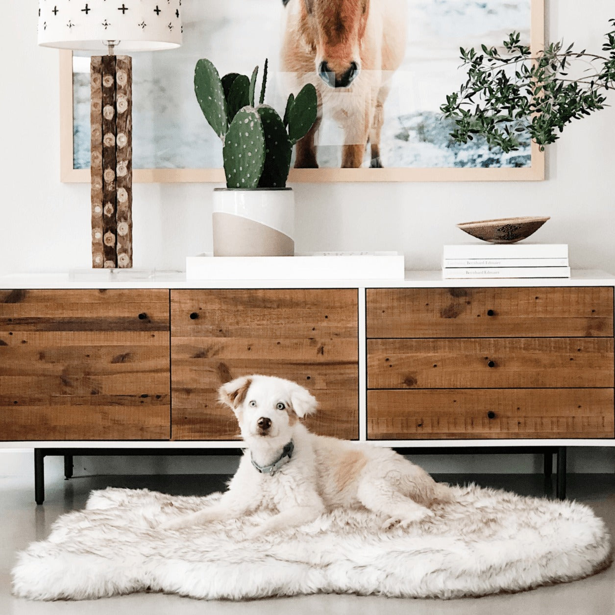 PupRugTM Faux Fur Orthopedic Dog Bed - Curve White with Brown Accents