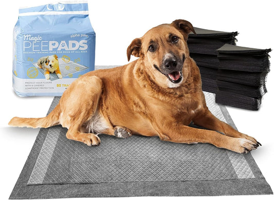Magic Pee Pads XL
