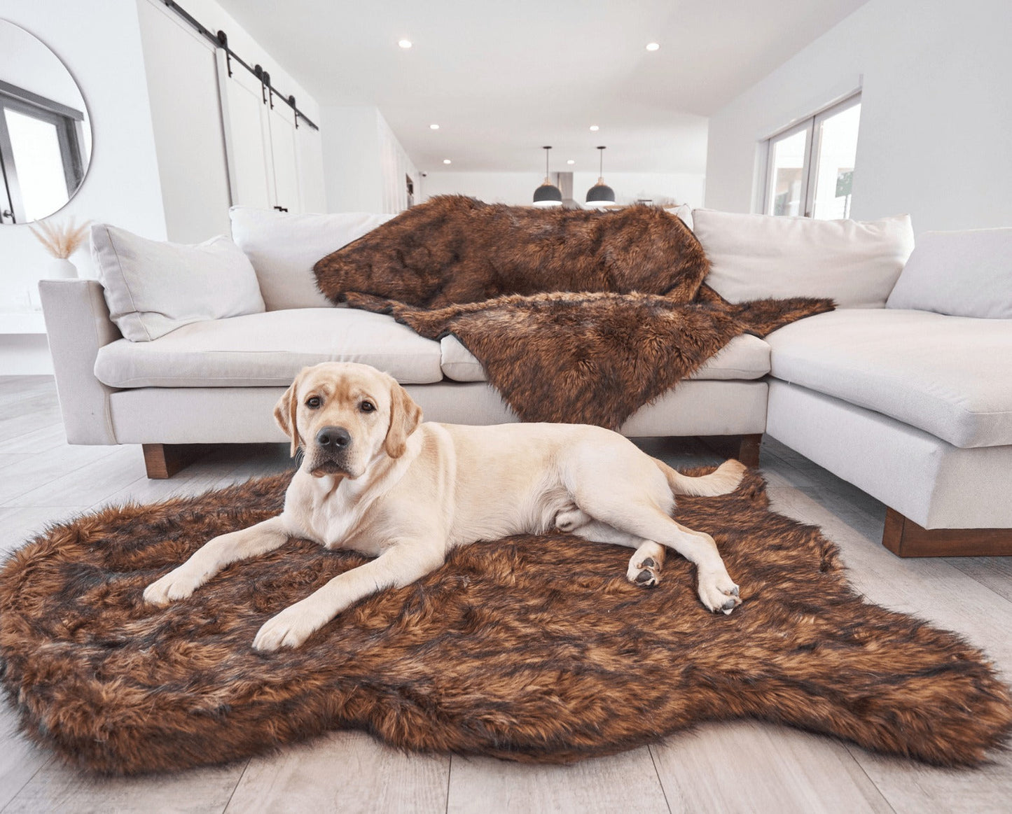 PupRugTM Faux Fur Orthopedic Dog Bed - Curve Brown