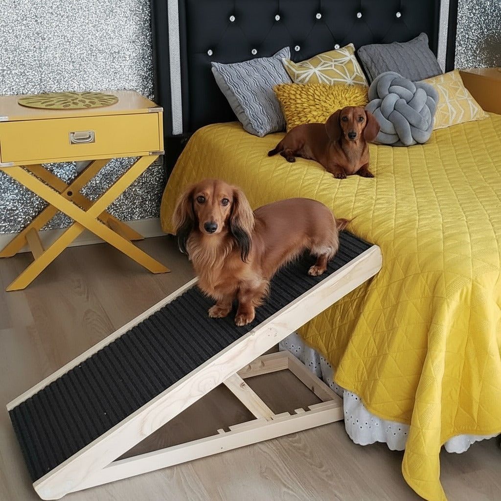 DachRampTM - The #1 Vet-Recommended Way to Protect Your Dachshund's Back & Joints