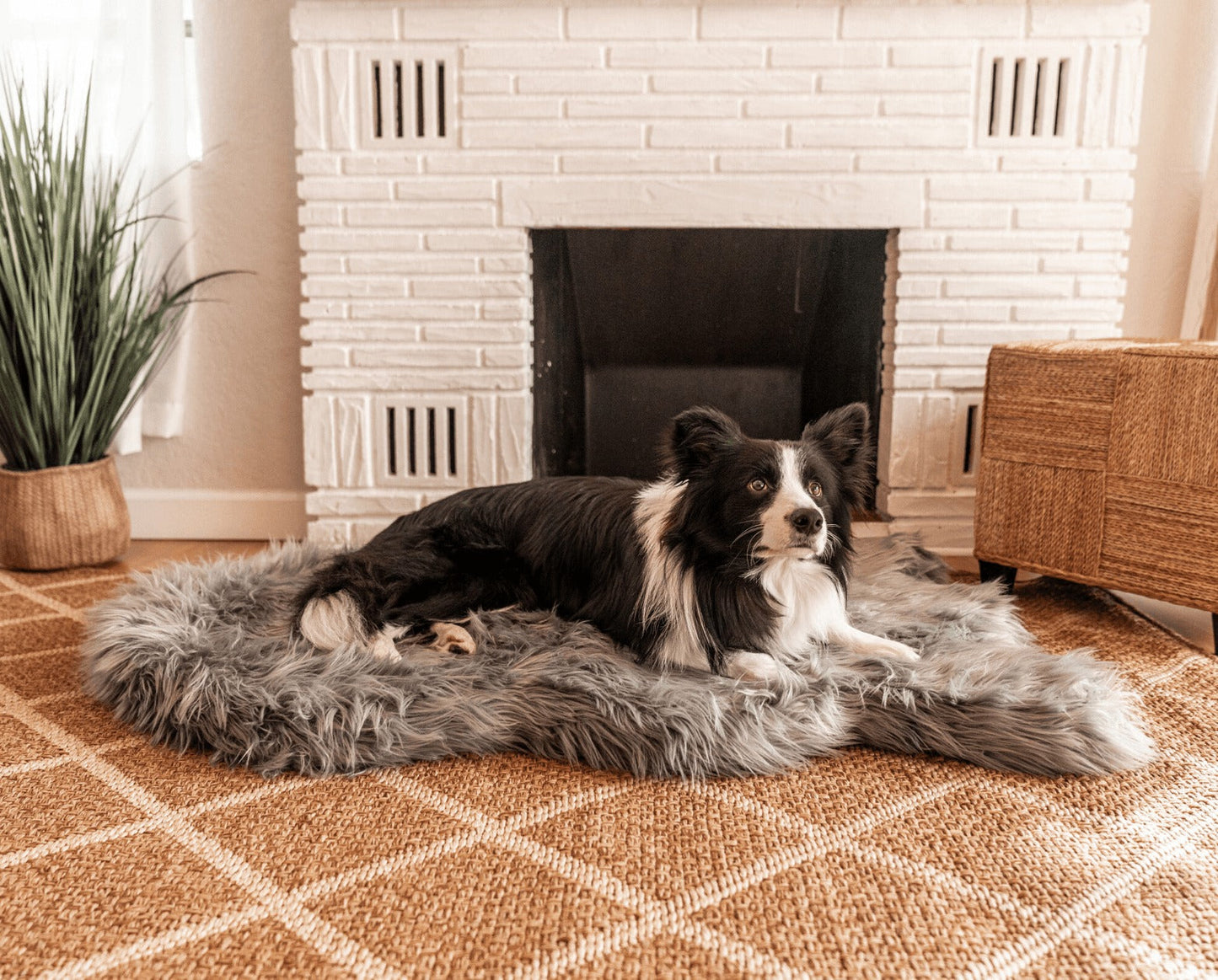 PupRugTM Faux Fur Orthopedic Dog Bed - Curve Charcoal Grey