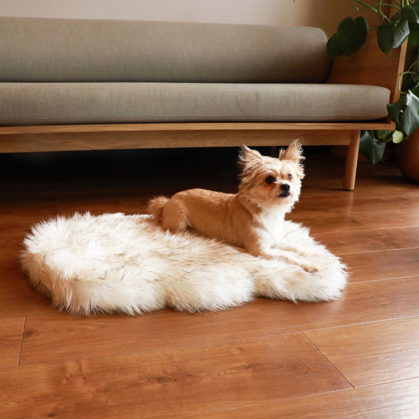 PupRugTM Faux Fur Orthopedic Dog Bed - Curve White with Brown Accents