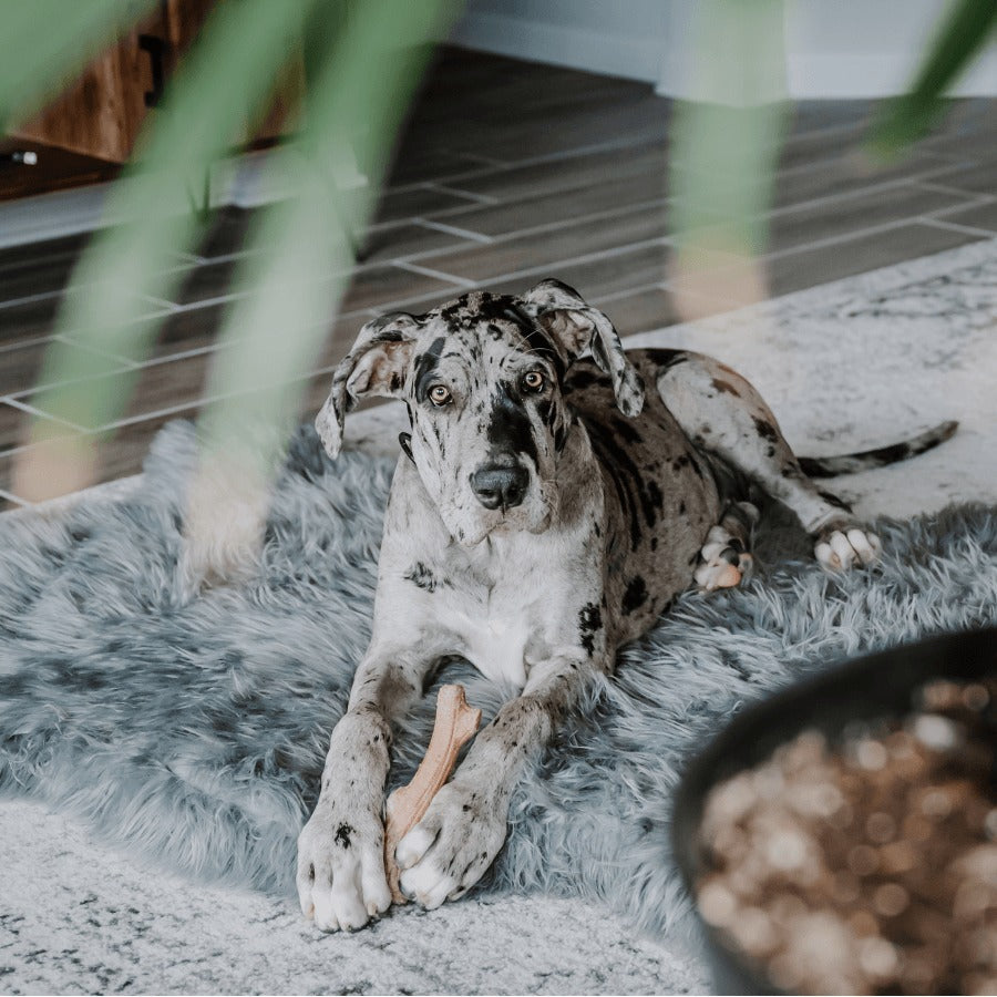 PupRugTM Faux Fur Orthopedic Dog Bed - Curve Charcoal Grey