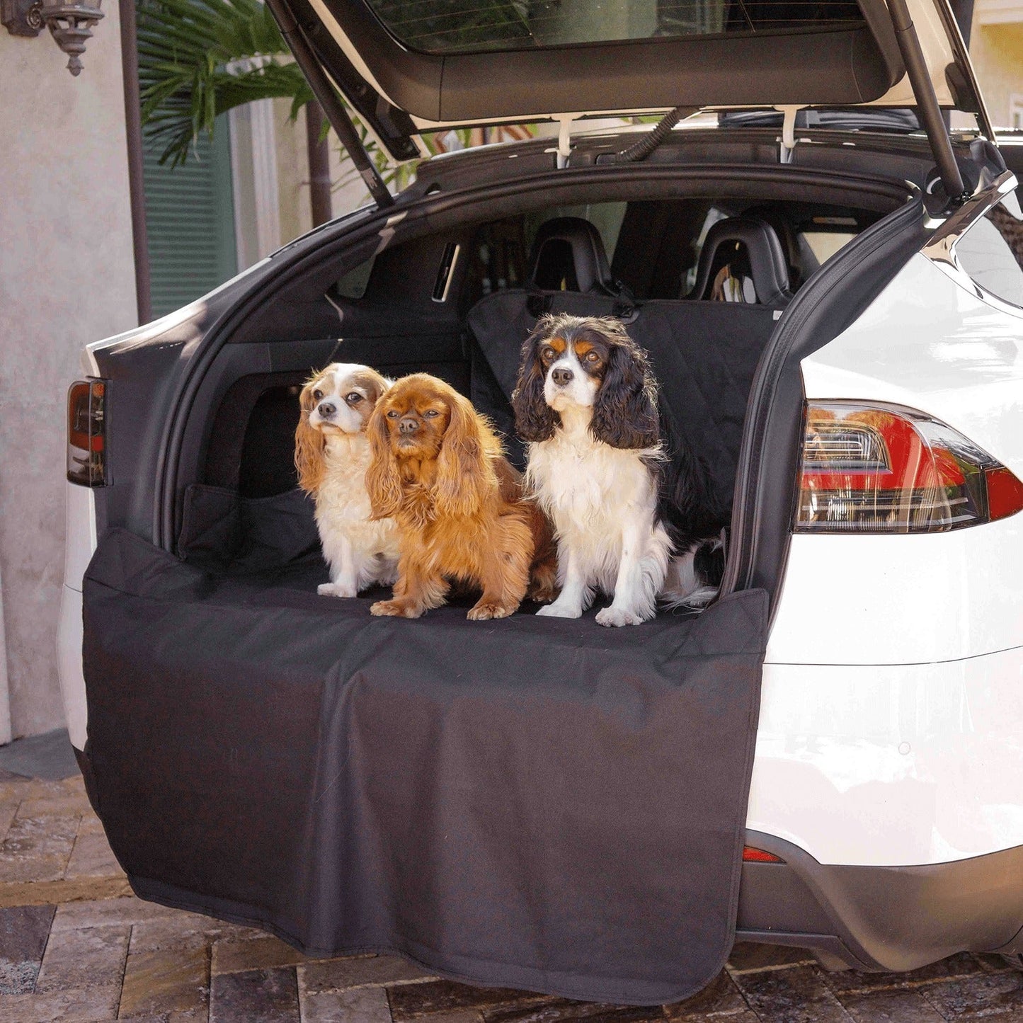 PupProtectorTM Cargo Cover Liner for SUVs and Cars