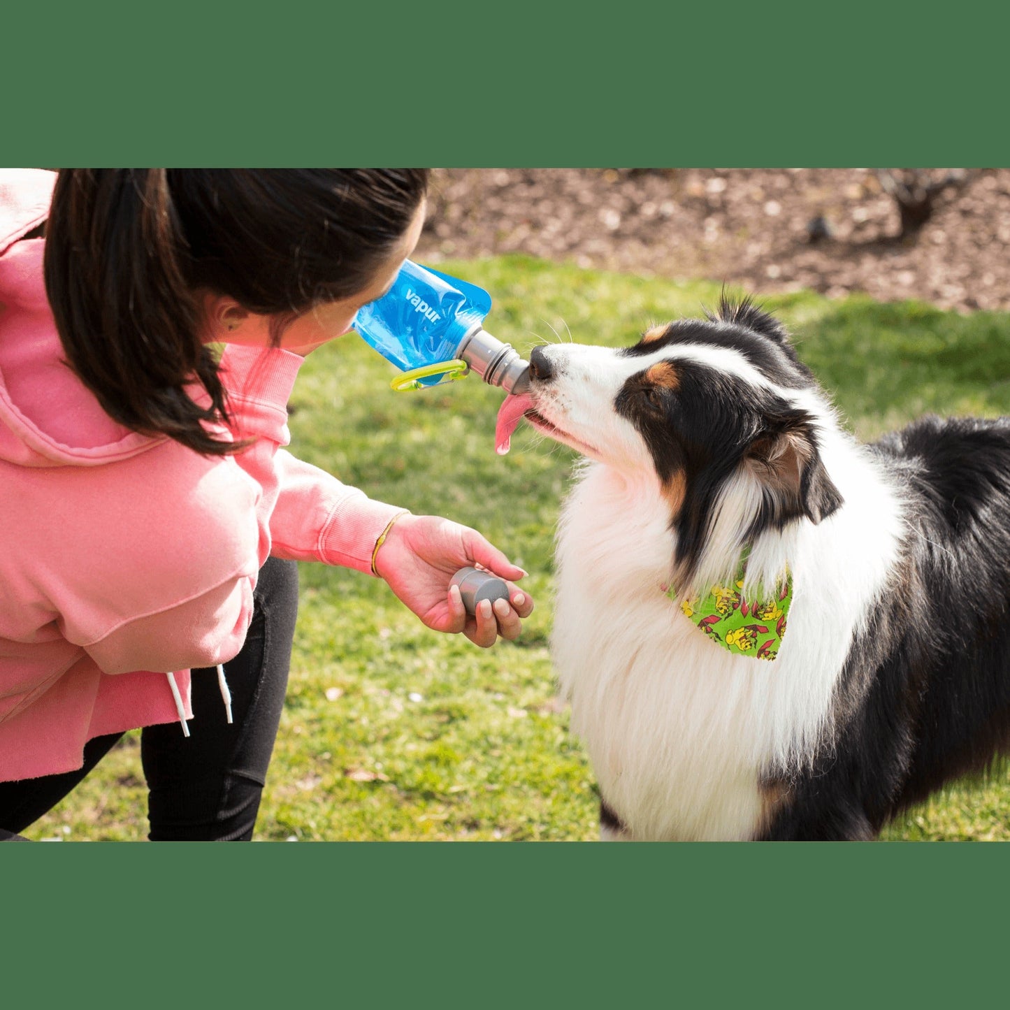 Vapur® EZ LickTM Portable Dog Water Bottle