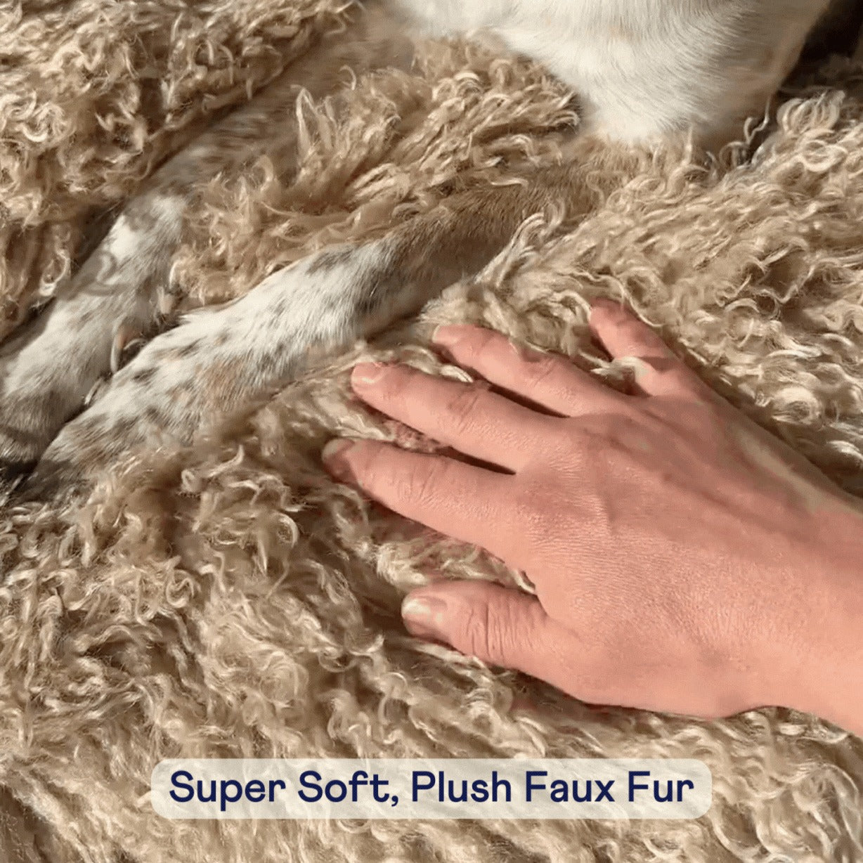 PupRugTM Luxe Faux Fur Orthopedic Dog Bed - Plush Sheep Tan