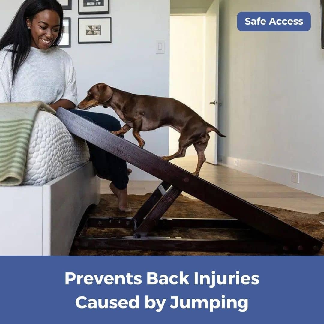 DachRampTM - The #1 Vet-Recommended Way to Protect Your Dachshund's Back & Joints