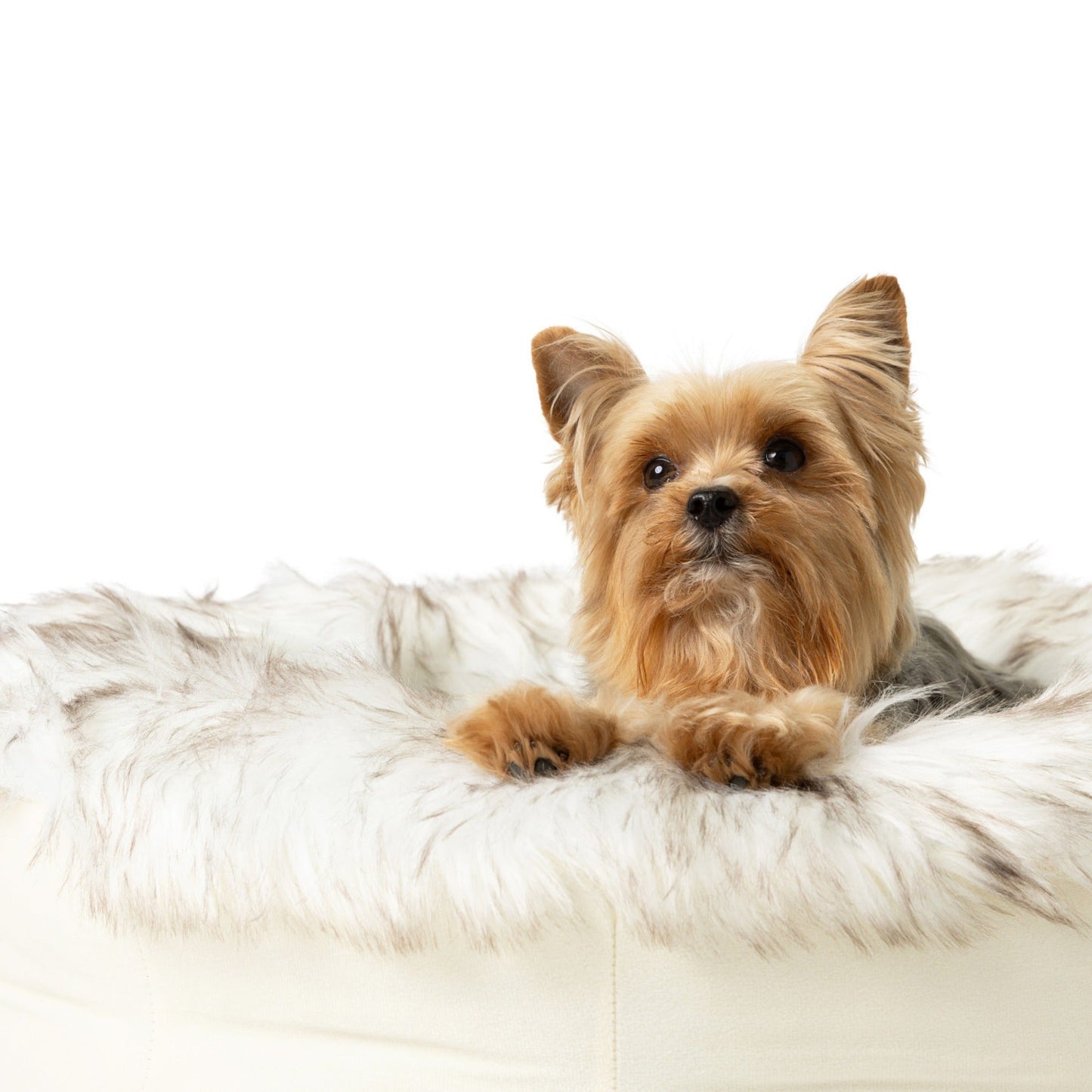 PupPoufTM Faux Fur Donut Dog Bed - White with Brown Accents