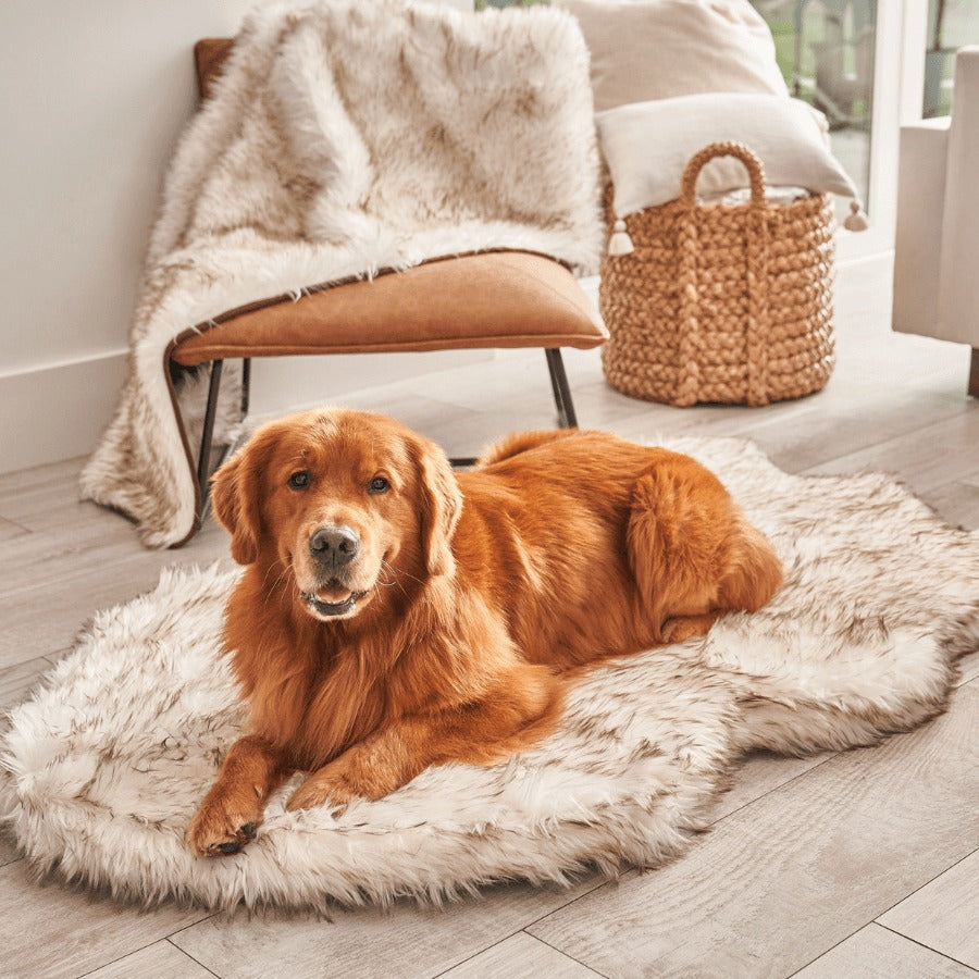 PupRugTM Faux Fur Orthopedic Dog Bed - Curve White with Brown Accents