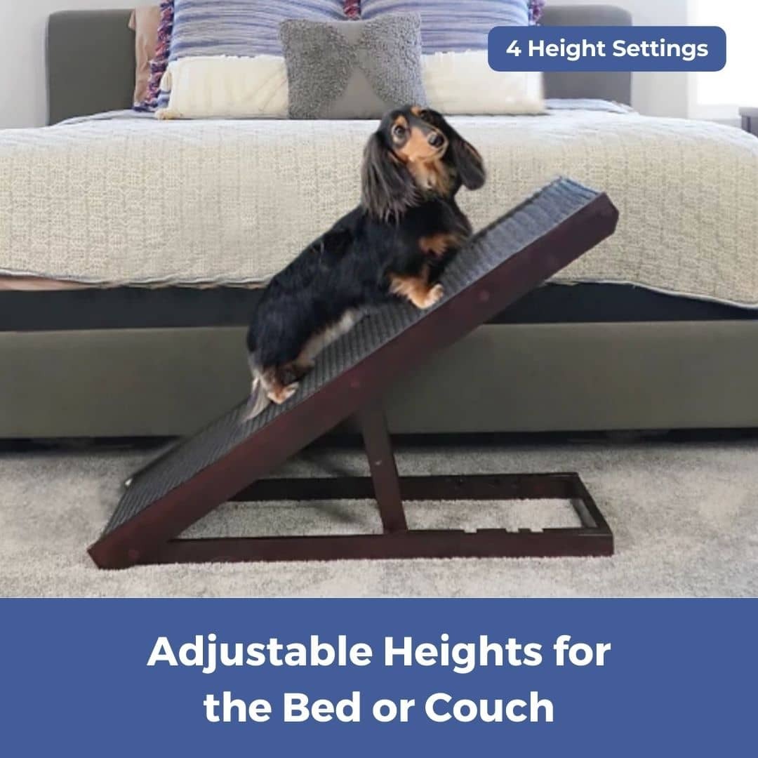DachRampTM - The #1 Vet-Recommended Way to Protect Your Dachshund's Back & Joints