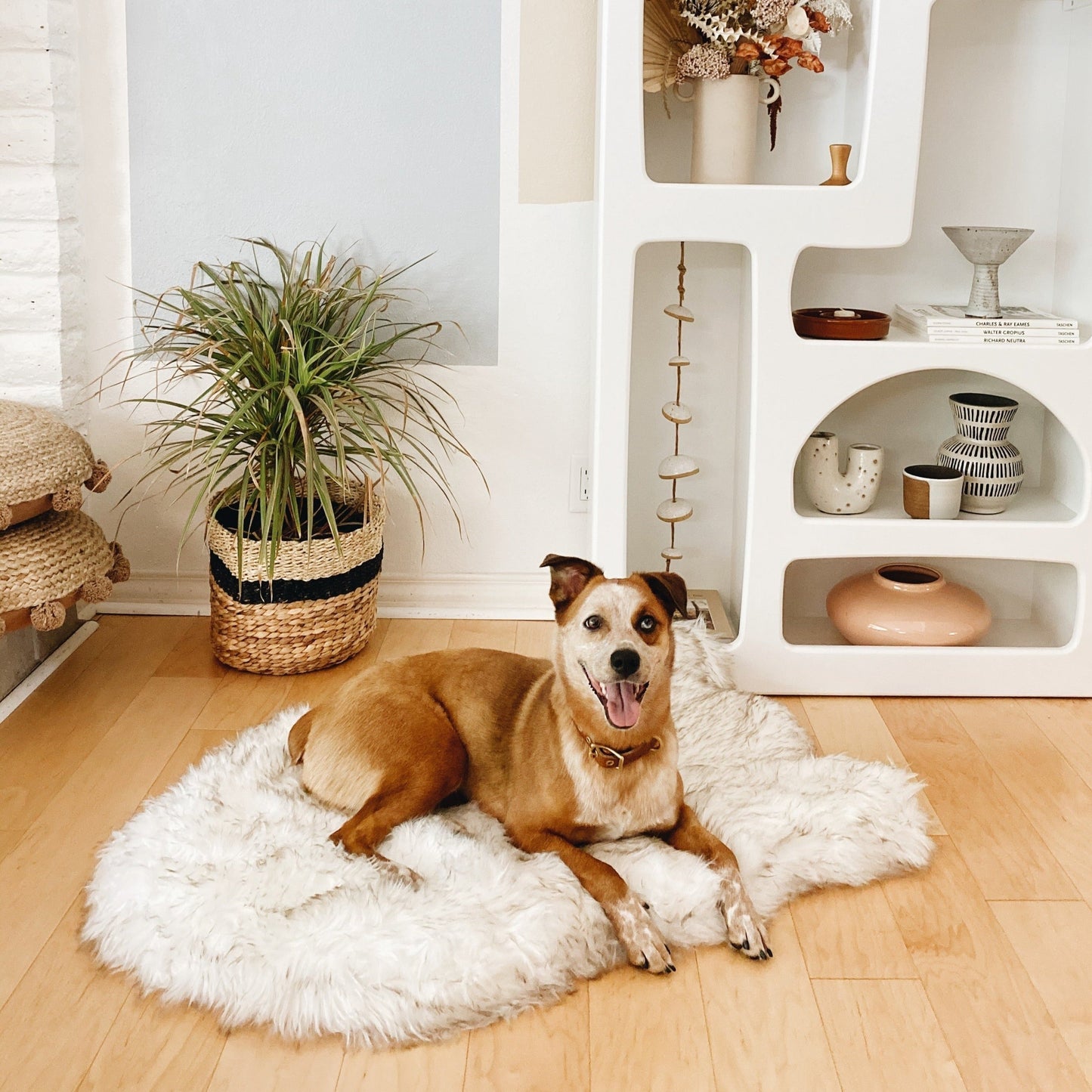 PupRugTM Faux Fur Orthopedic Dog Bed - Curve White with Brown Accents