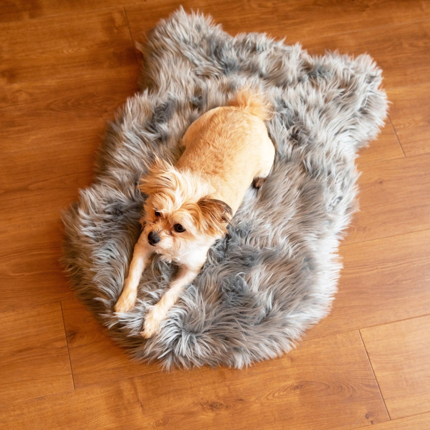 PupRugTM Faux Fur Orthopedic Dog Bed - Curve Charcoal Grey