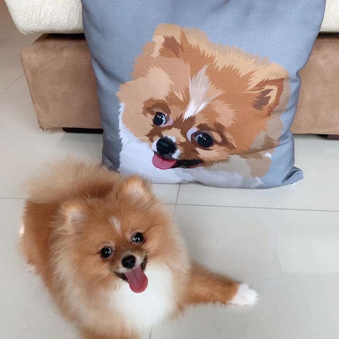 Custom Pet Couch Pillow with Cover