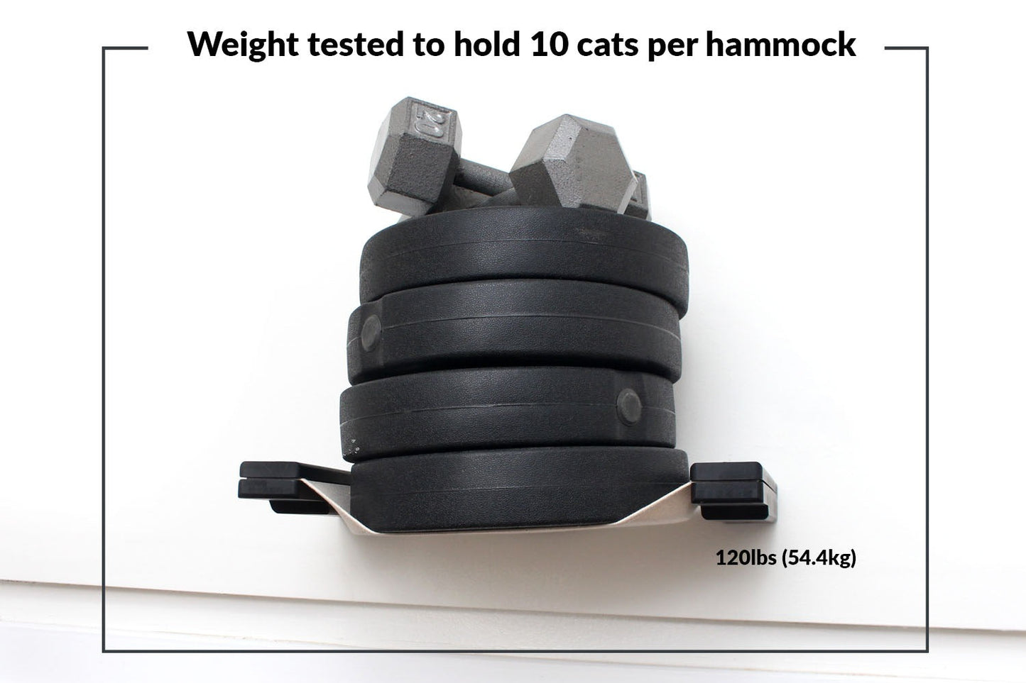 Dog Proof Cat Feeder - Wall-Mounted - Raised