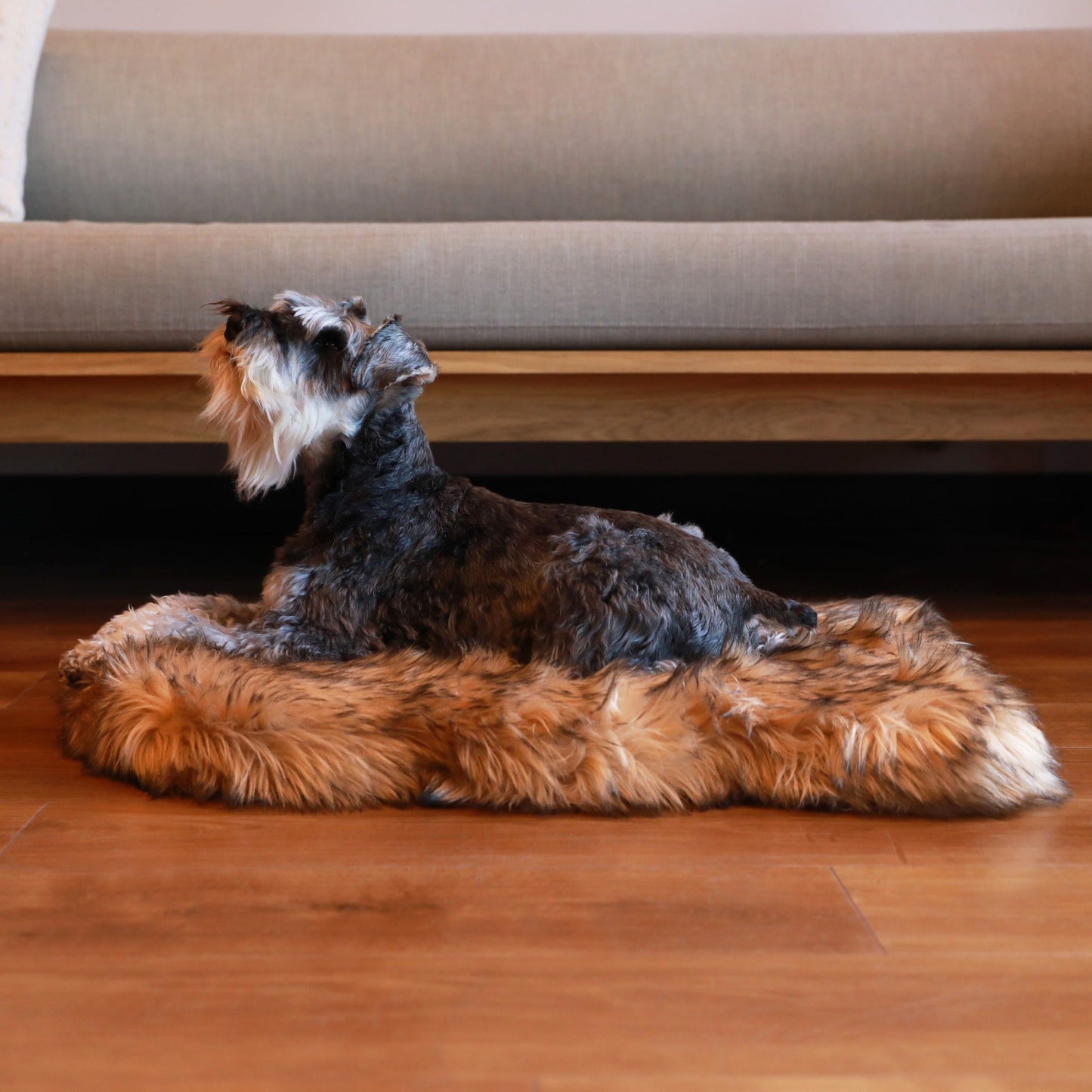 PupRugTM Faux Fur Orthopedic Dog Bed - Curve Sable Tan