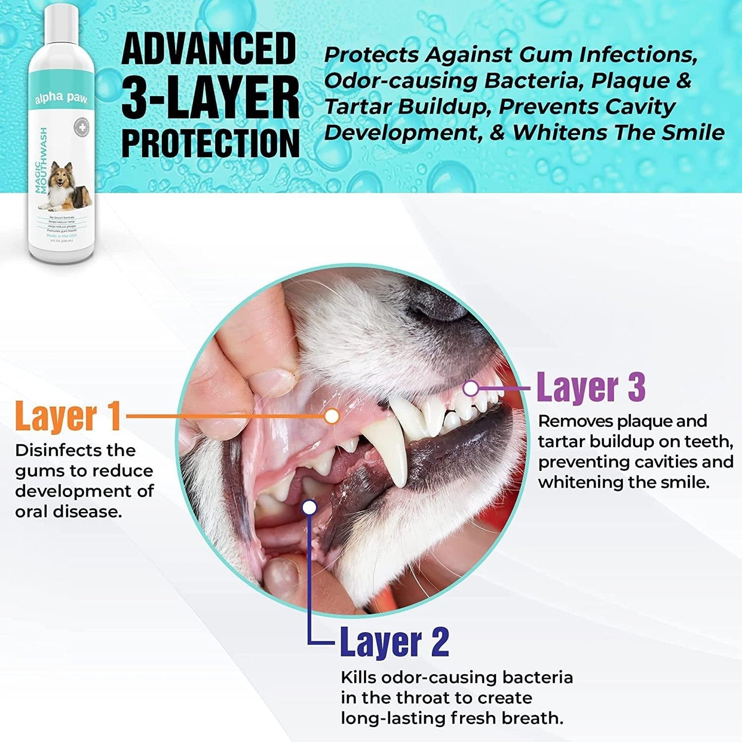 Magic MouthwashTM For Dogs