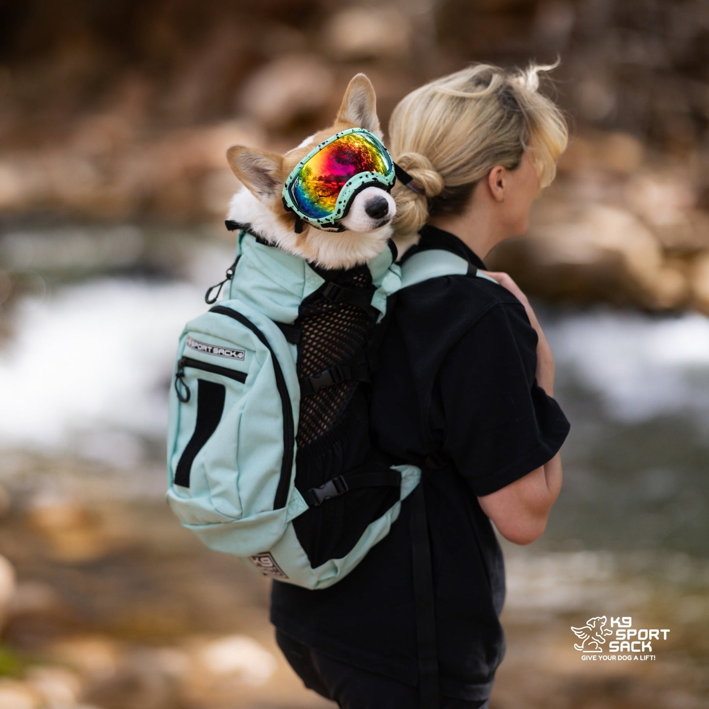 Plus 2 | Easy Dog Carrier with Removable Treat Storage