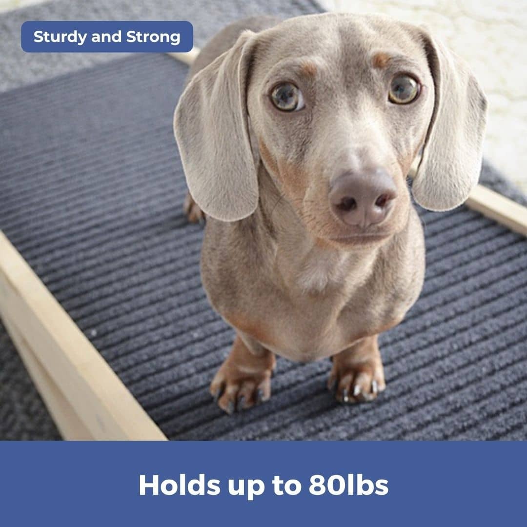 DachRampTM - The #1 Vet-Recommended Way to Protect Your Dachshund's Back & Joints