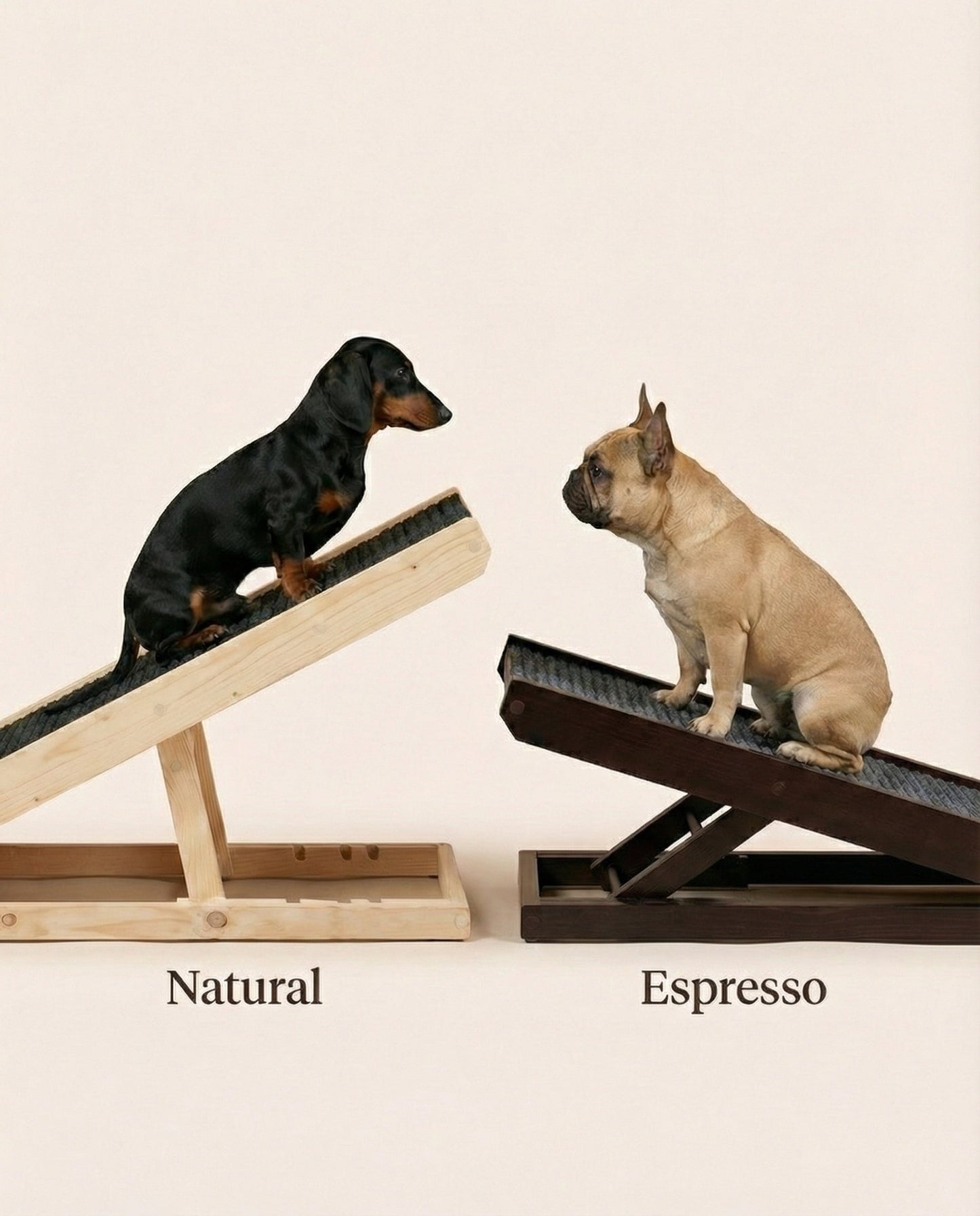 DachRampTM - The #1 Vet-Recommended Way to Protect Your Dachshund's Back & Joints