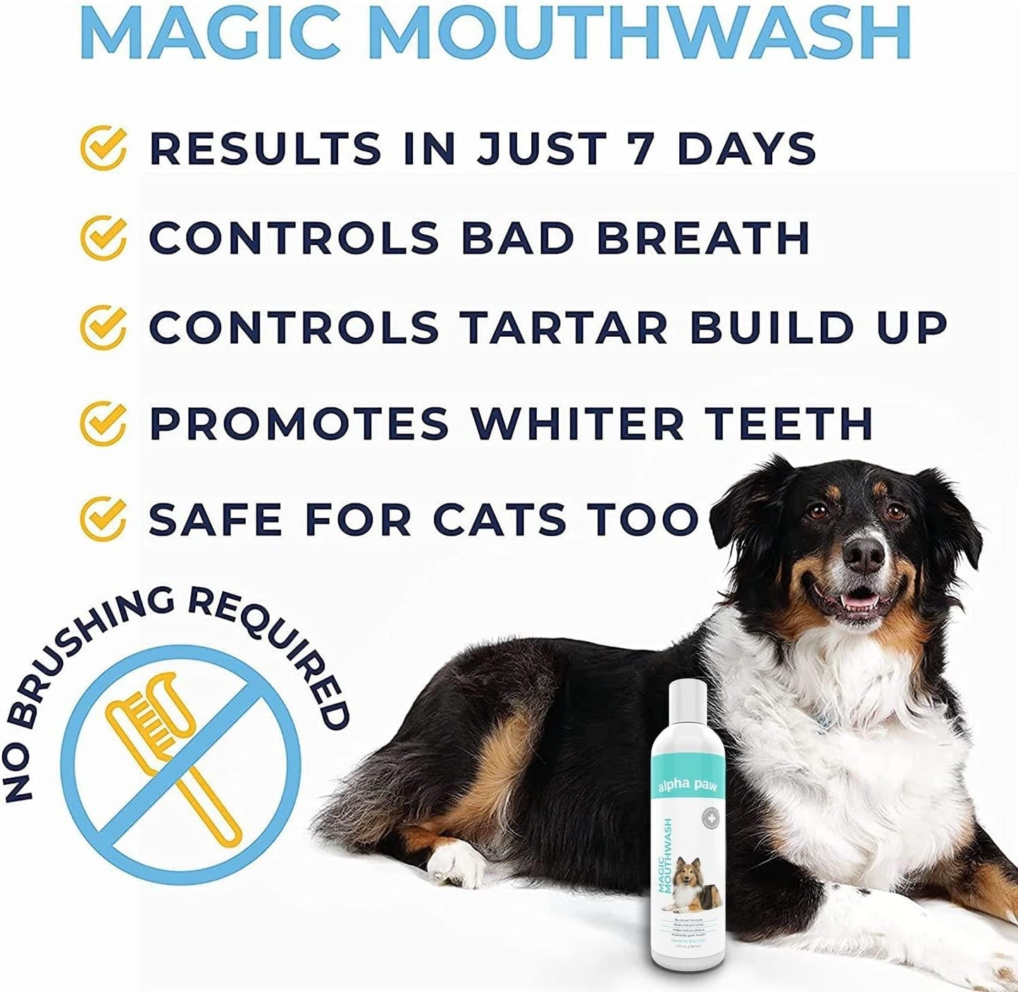 Magic MouthwashTM For Dogs